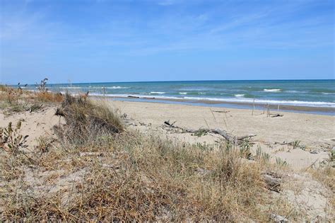 lido di classe gay|The Lido di Classe and Bassona beaches in Ravenna